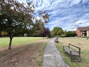 Garden (3)- click for photo gallery